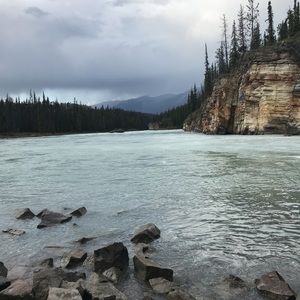 Meet your Posher, Jodie